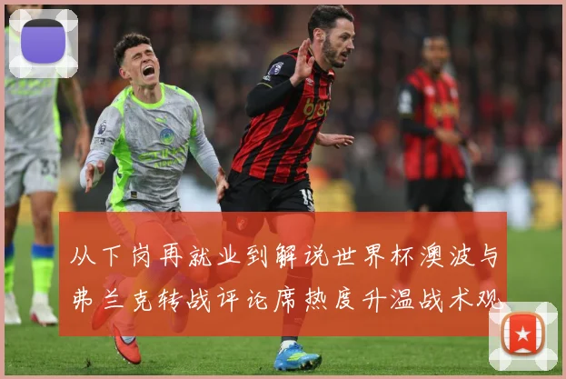 从下岗再就业到解说世界杯澳波与弗兰克转战评论席热度升温战术观察：最新赛事动态与深度分析